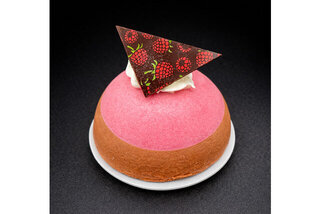 Chocolate Raspberry Truffle Bombe Product Image